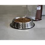 Miska pro psy "Dog", Stříbrná