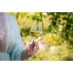 Sklenice na víno "Vista“, Transparentní