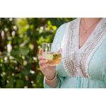 Sklenice "Vista“, Transparentní