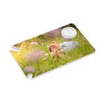 Karta s odstraňovačem klíšťat, Transparentní